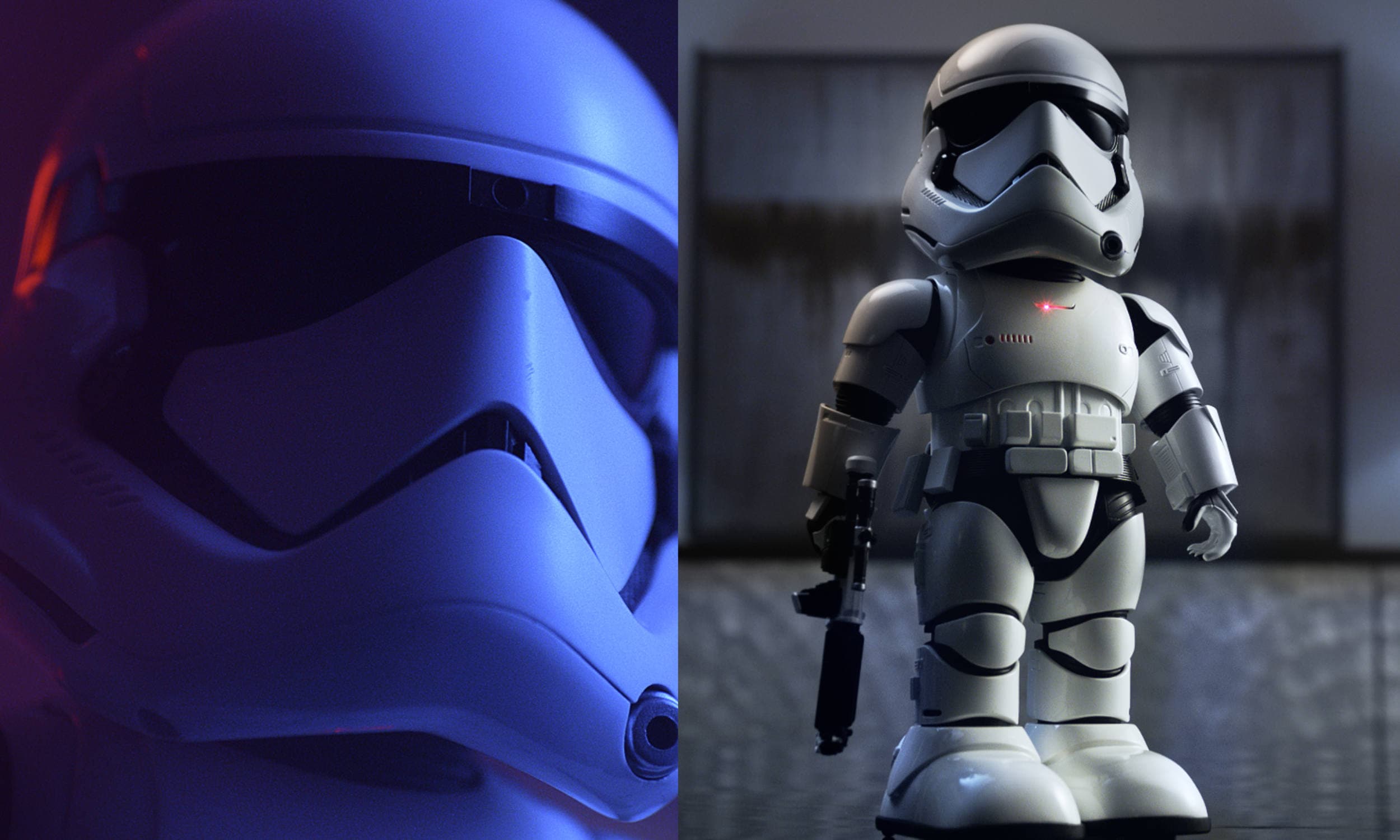 Spexster project work